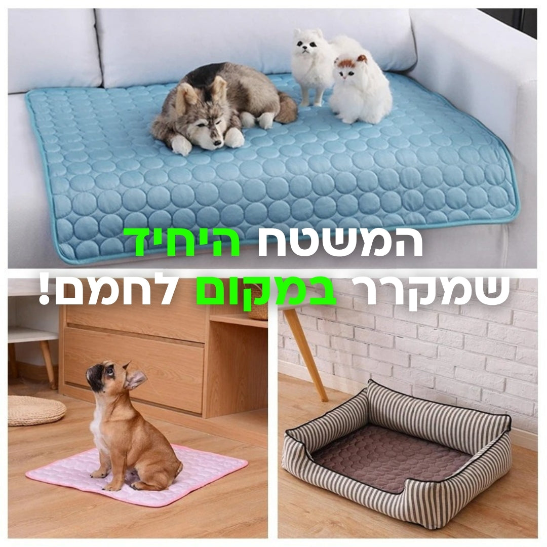משטח הקירור - בסטיק